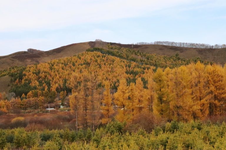 Unleashing the Explorer Within: Embracing the Joys of Outdoor Travel