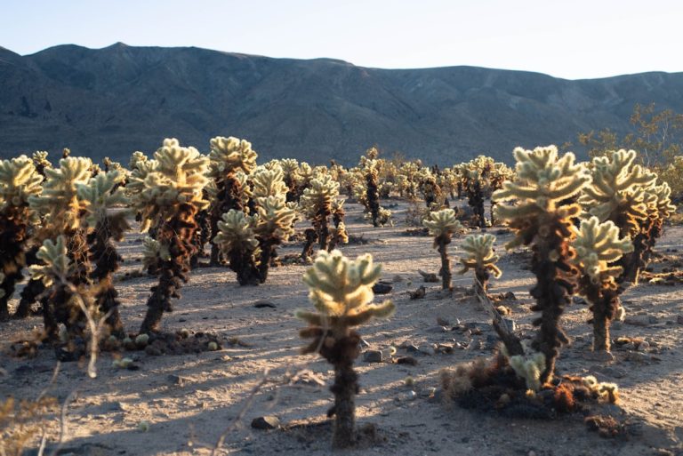 Unconventional Travel Hacks for the Adventurous Soul