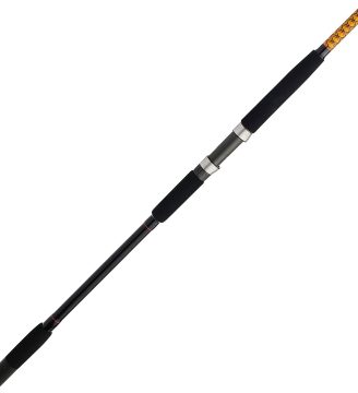 Ugly Stik Bigwater Spinning Fishing Rod